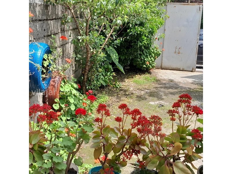 عکس شماره 795184 - اجاره ویلا در رودسر گیلان -