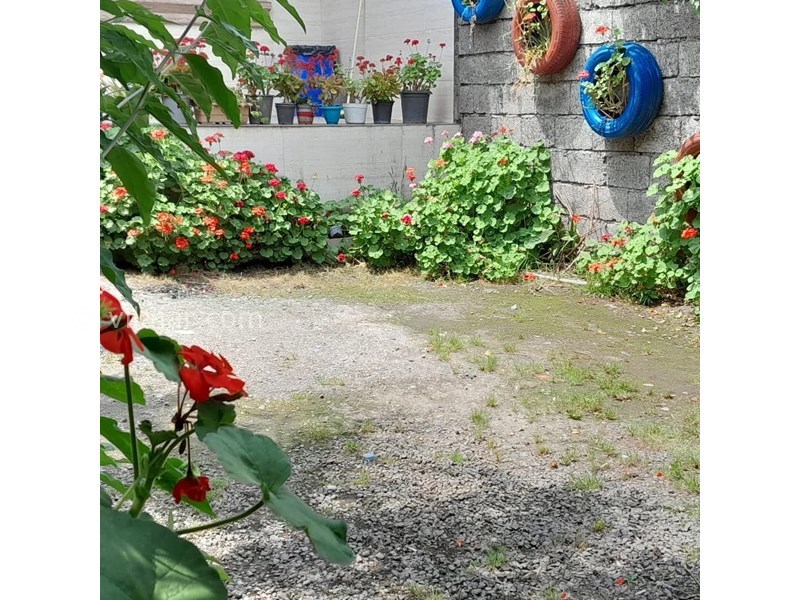 عکس شماره 795186 - اجاره ویلا در رودسر گیلان -