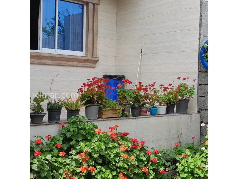 عکس شماره 795187 - اجاره ویلا در رودسر گیلان -