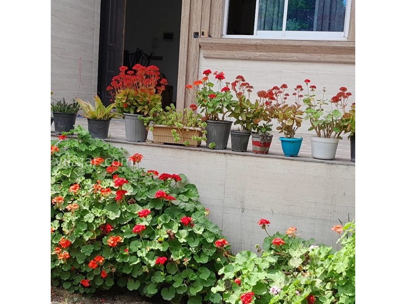 عکس شماره 795192 - اجاره ویلا در رودسر گیلان -