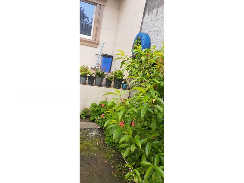 عکس شماره 795199 - اجاره ویلا در رودسر گیلان -