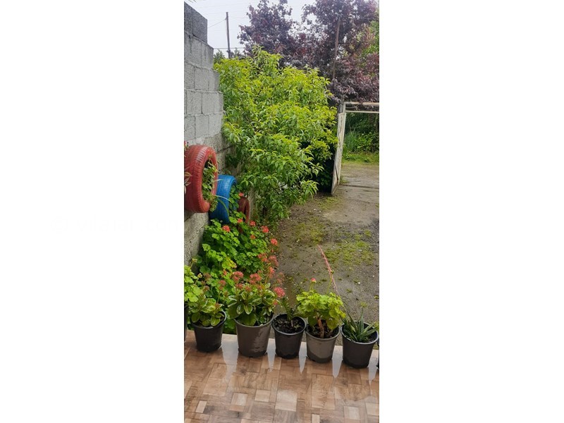 عکس شماره 795200 - اجاره ویلا در رودسر گیلان -