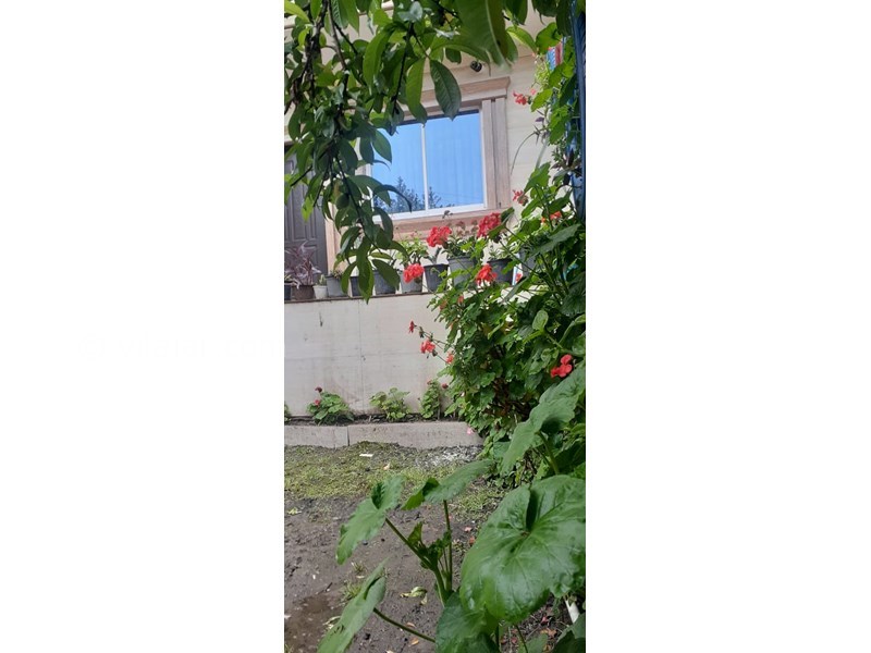 عکس شماره 795204 - اجاره ویلا در رودسر گیلان -