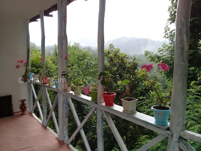 عکس شماره 796621 - اجاره خانه روستایی حلیمه جان گیلان - تراسی روبه جنگل انبوه