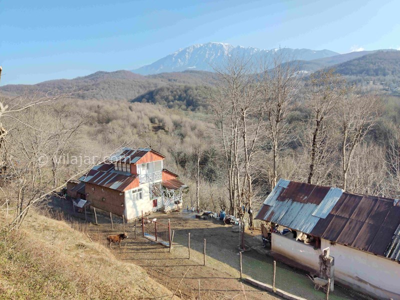 عکس شماره 796639 - اجاره خانه روستایی حلیمه جان گیلان - نمای سرای ازبالا-7بهمن1402