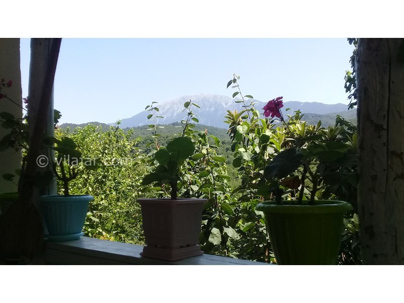 عکس شماره 796646 - اجاره خانه روستایی حلیمه جان گیلان - تراس-تابستون