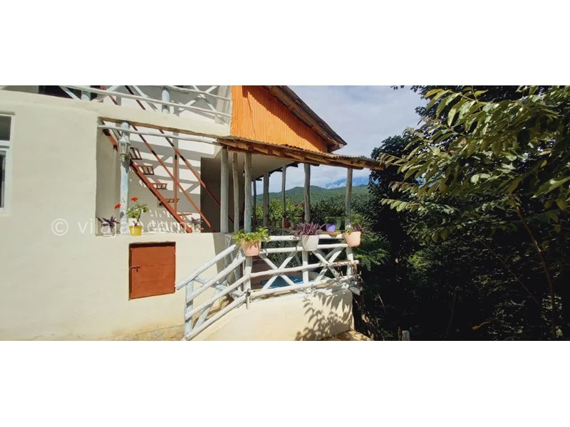 عکس شماره 796665 - اجاره خانه روستایی حلیمه جان گیلان -