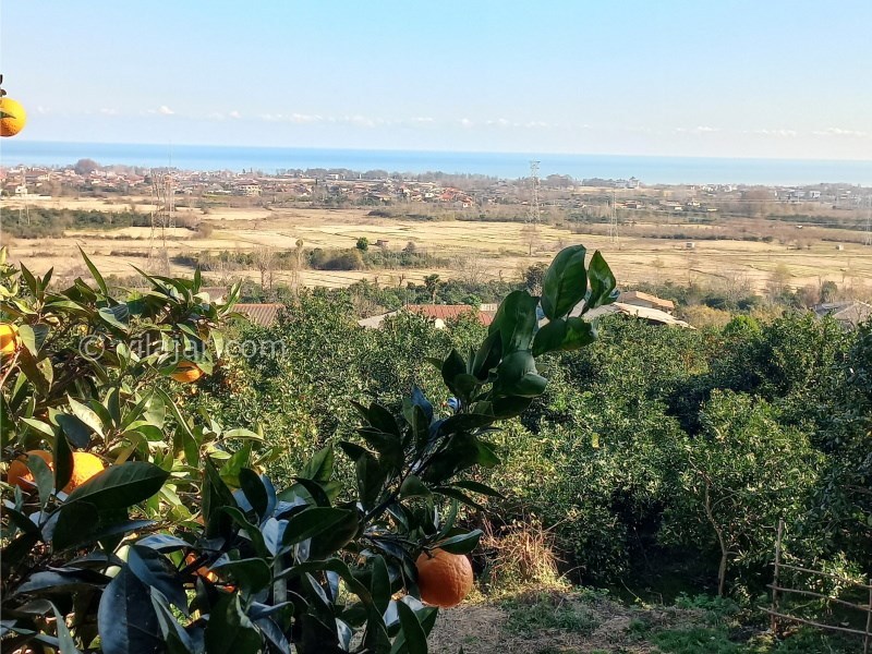 عکس شماره 796765 - اقامتگاه در چابکسر با ویو دریا - 