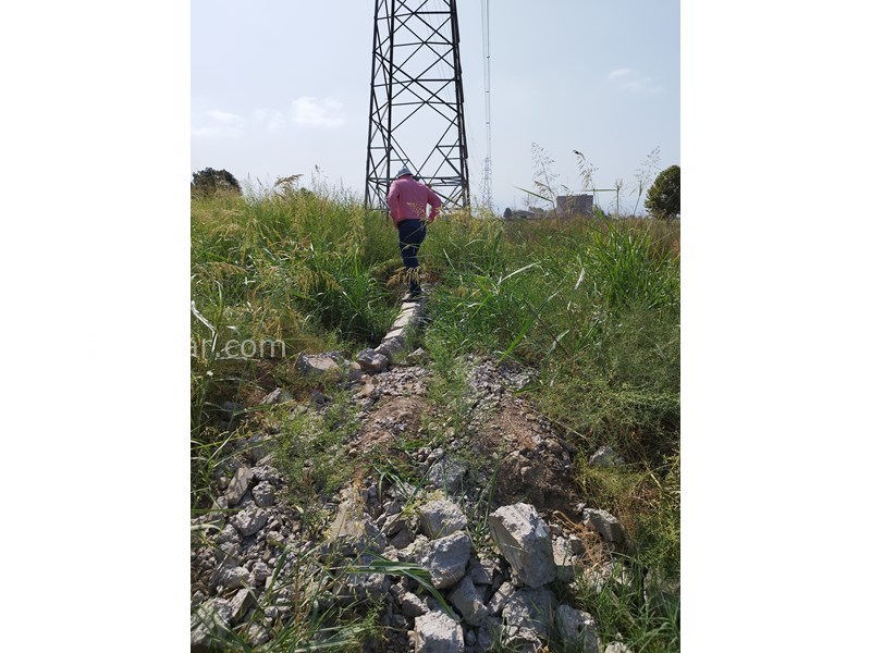 عکس شماره 796933 - اجاره ویلا با ویو جنگل در بهشهر - 