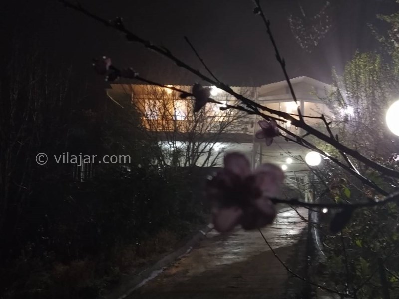 عکس شماره 796938 - اجاره ویلا با ویو جنگل در بهشهر - 