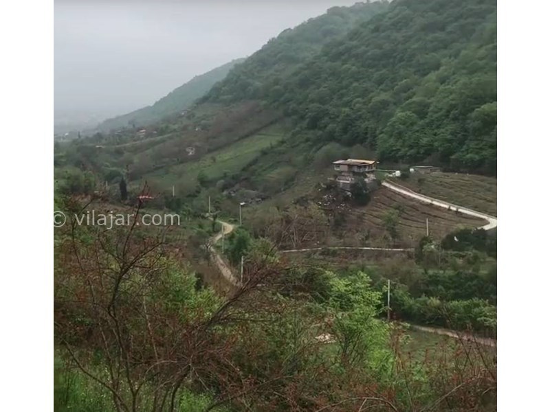 عکس شماره 796947 - اجاره ویلا با ویو جنگل در بهشهر - 