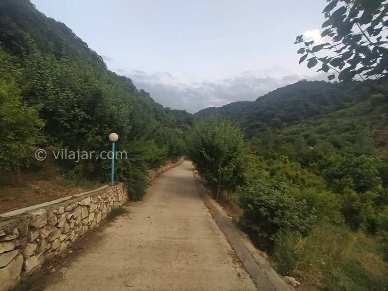 عکس شماره 796958 - اجاره ویلا با ویو جنگل در بهشهر - 