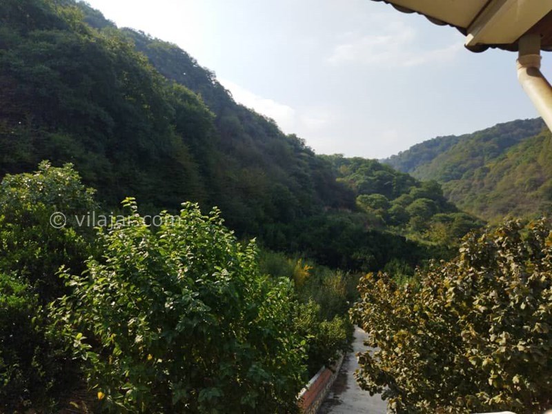 عکس شماره 796966 - اجاره ویلا با ویو جنگل در بهشهر - 