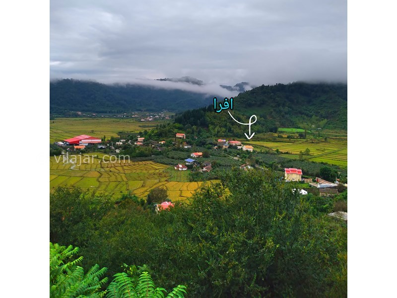 عکس شماره 797124 - اجاره ویلا در تالش لیسار - 