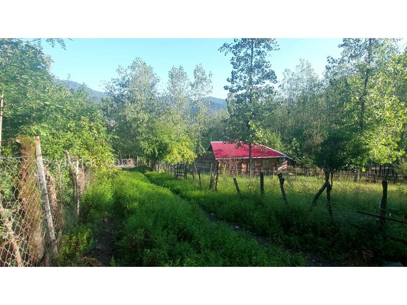 عکس شماره 798219 - اجاره کلبه چوبی جنگلی در ماسال - نمای کلبه