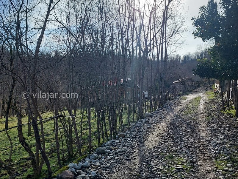 عکس شماره 798222 - اجاره کلبه چوبی جنگلی در ماسال - نمای کلبه