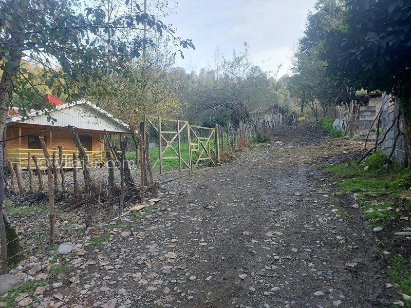 عکس شماره 798223 - اجاره کلبه چوبی جنگلی در ماسال - نمای کلبه