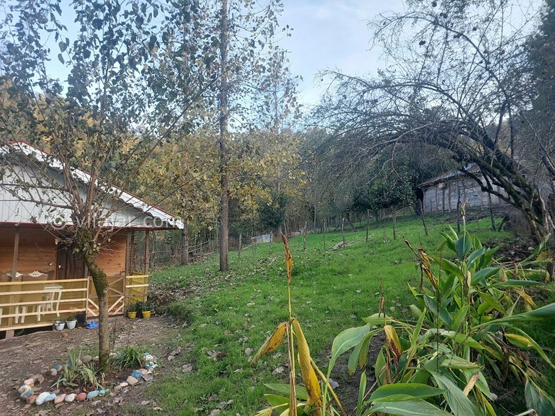 عکس شماره 798225 - اجاره کلبه چوبی جنگلی در ماسال - نمای کلبه