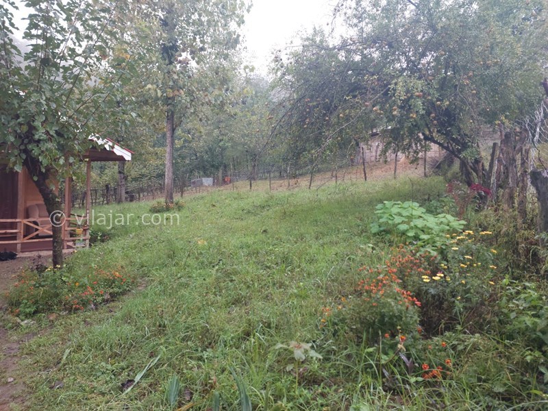 عکس شماره 798237 - اجاره کلبه چوبی جنگلی در ماسال - حیاط کلبه