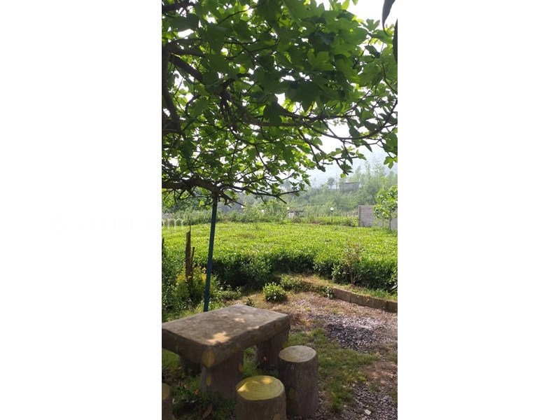 عکس شماره 798364 - اجاره ویلا در قلعه رودخان - 