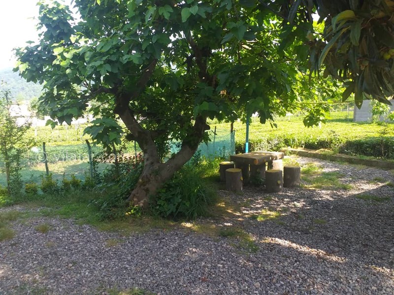 عکس شماره 798368 - اجاره ویلا در قلعه رودخان - 