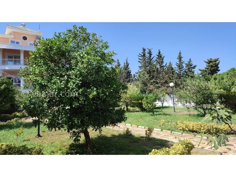 عکس شماره 798540 - اجاره ویلا باغ چالوس لب دریا -