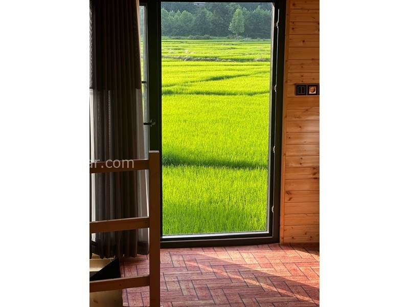 عکس شماره 799206 - اجاره کلبه چوبی جنگلی شاندرمن - 