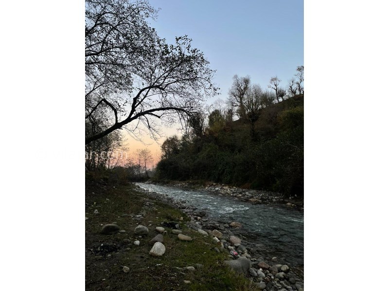 عکس شماره 799434 - اجاره کلبه سوییسی چوبی شاندرمن - 