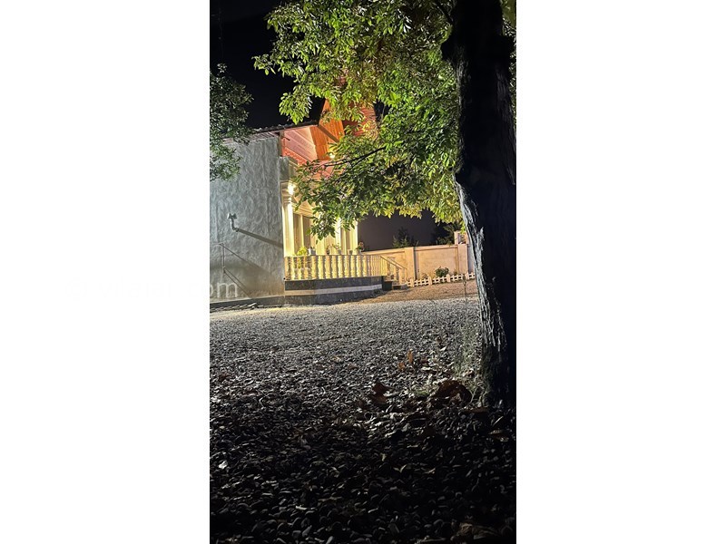 عکس شماره 799710 - اجاره ویلا در شاندرمن گیلان - 