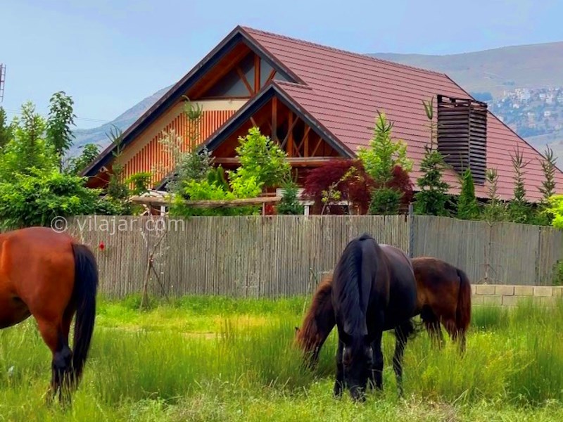 عکس شماره 800282 - ویلا با استخر و جکوزی کلاردشت - 