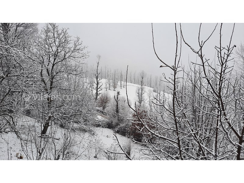 عکس شماره 800368 - اجاره اقامتگاه در استخرگاه گیلان - 