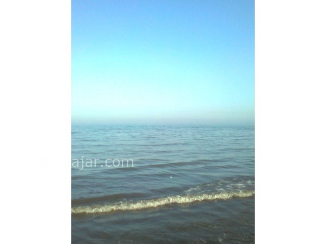 عکس شماره 8005 - اجاره ویلا ساحلی در چمخاله - 