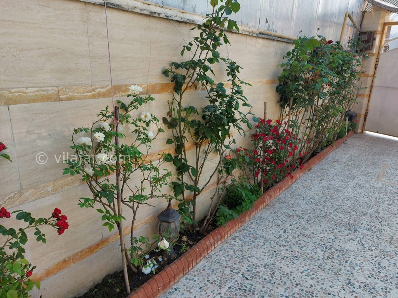 عکس شماره 800550 - اجاره ویلا در محمود آباد - 