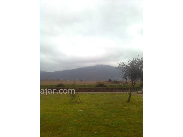 عکس شماره 8009 - اجاره ویلا ساحلی در چمخاله - 