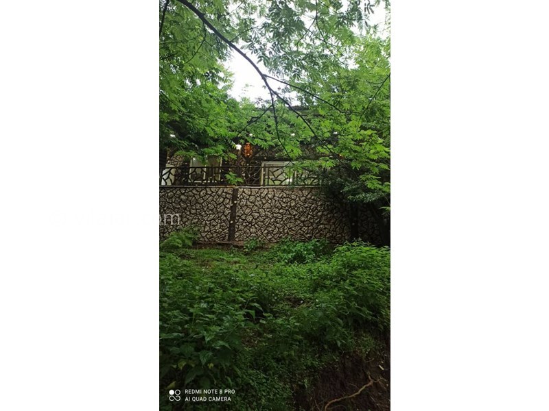 عکس شماره 802653 - ویلا جنگلی در سوادکوه زیرآب - 