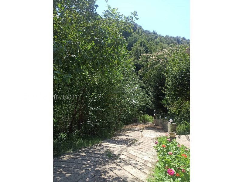 عکس شماره 802658 - ویلا جنگلی در سوادکوه زیرآب - 