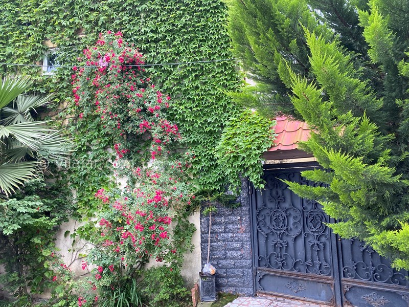 عکس شماره 802970 - اجاره اقامتگاه نزدیک دریا فریدونکنار - 