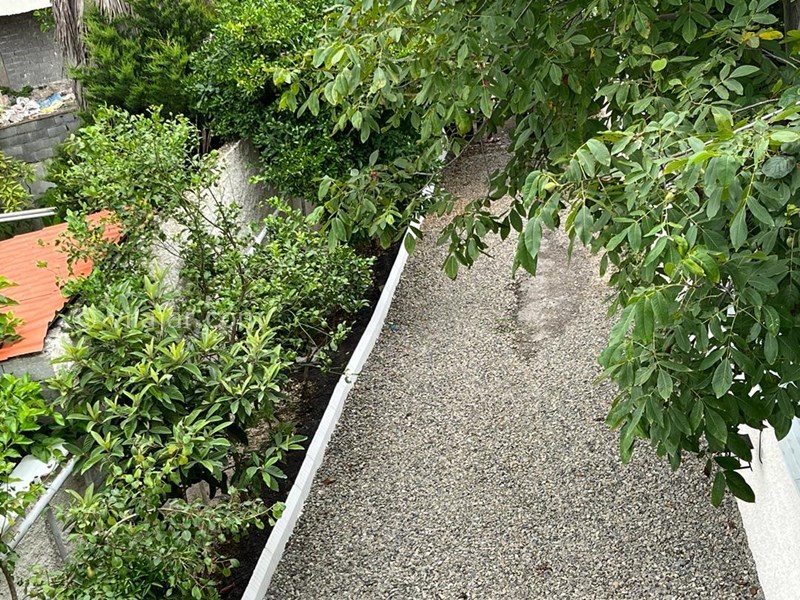 عکس شماره 803064 - رزرو ویلای استخردار در چالوس - 