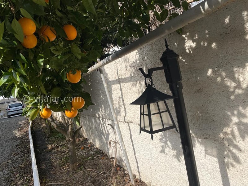 عکس شماره 803070 - رزرو ویلای استخردار در چالوس - 