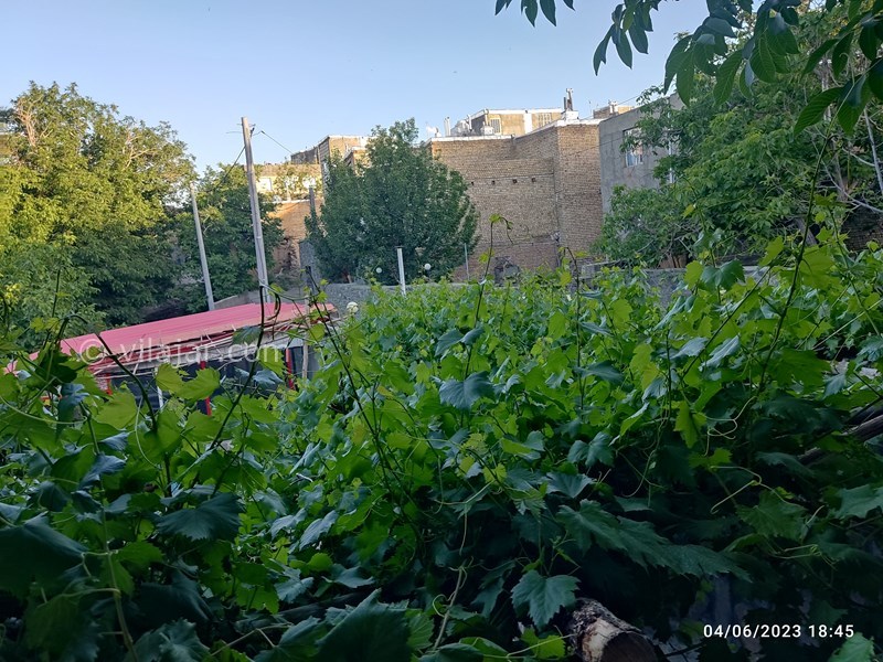 عکس شماره 803203 - اجاره ویلا همدان روستای ورکانه - 