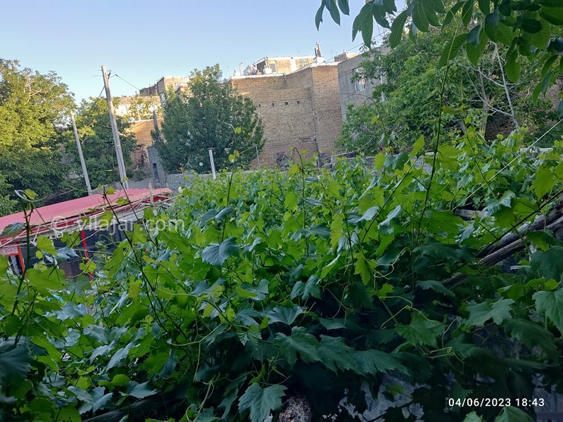 عکس شماره 803205 - اجاره ویلا همدان روستای ورکانه - 