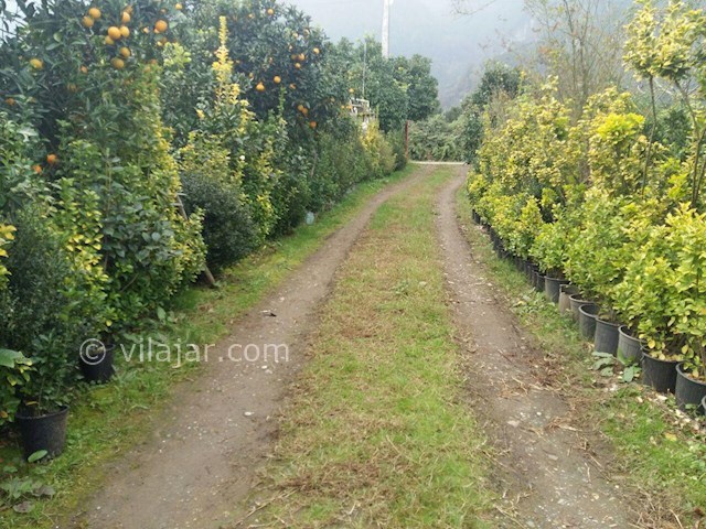 عکس شماره 80385 - اجاره ویلا باغ در چابکسر - 