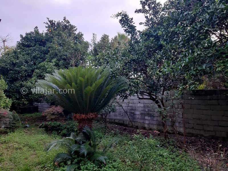 عکس شماره 804418 - اجاره ویلا در نشتارود کترا - 