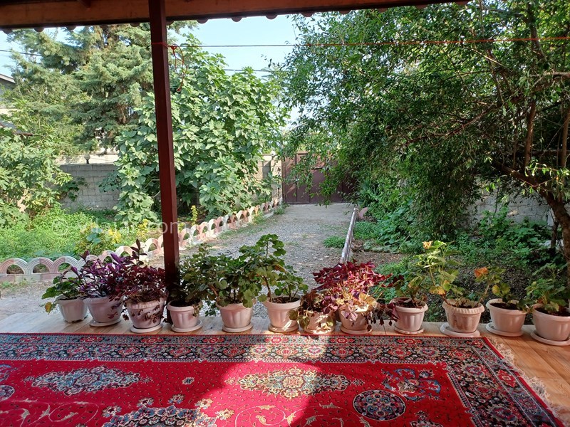 عکس شماره 805825 - اجاره ویلا جنگلی در ماسال - 