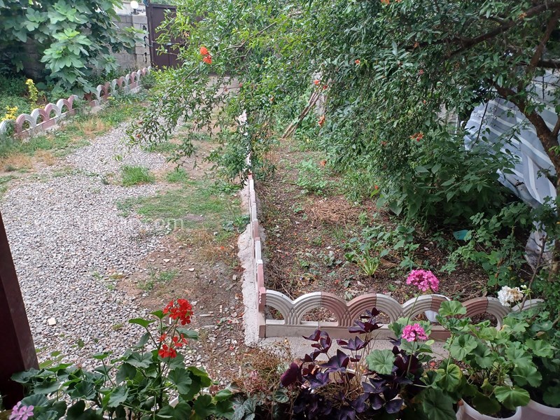 عکس شماره 805840 - اجاره ویلا جنگلی در ماسال - 