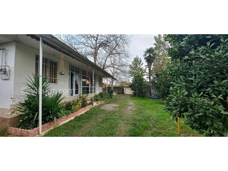 عکس شماره 806952 - ویلا باغ با دریاچه نزدیک رشت - محوطه حیاط