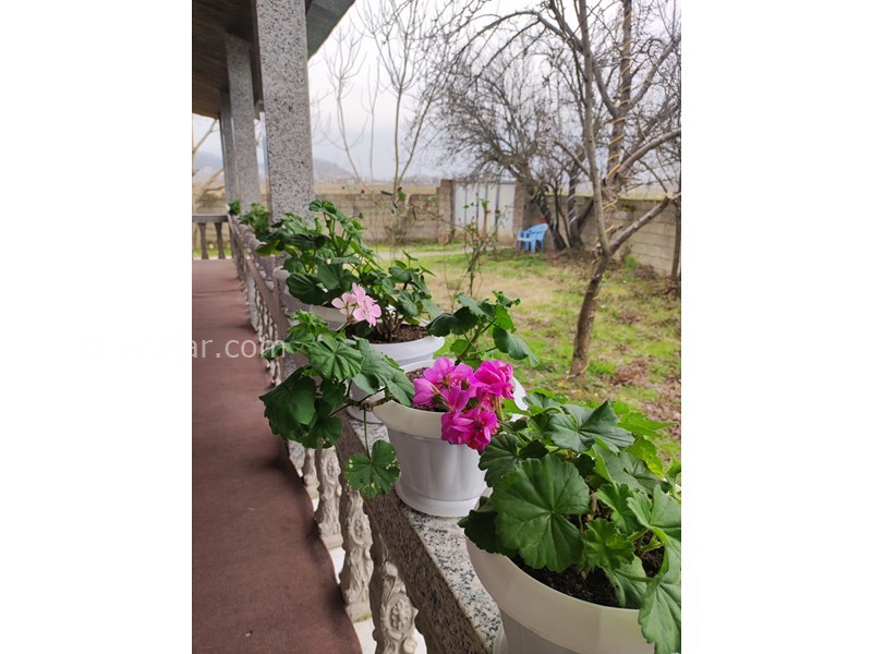 عکس شماره 807332 - اجاره ویلا جنگلی در ماسال - 