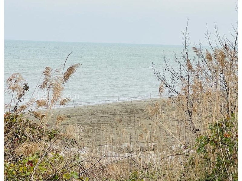 عکس شماره 807799 - ویلا ساحلی استخر روباز آبگرم شیرود - 