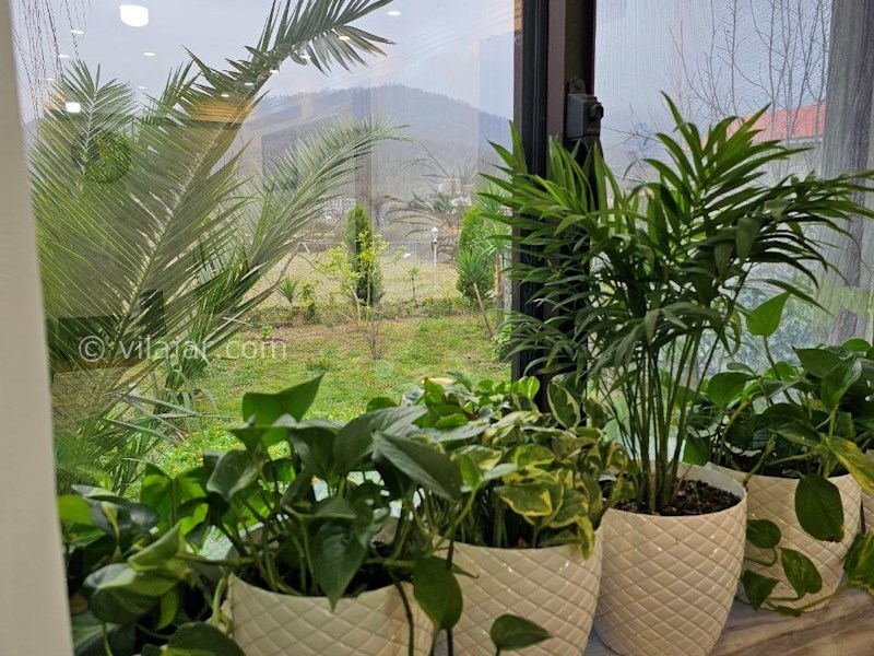 عکس شماره 808288 - ویلا باغ آرامش وشمه سرا ماسال - 