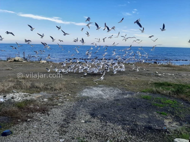 عکس شماره 808595 - اجاره پنت هاوس لب دریا در نوشهر - 